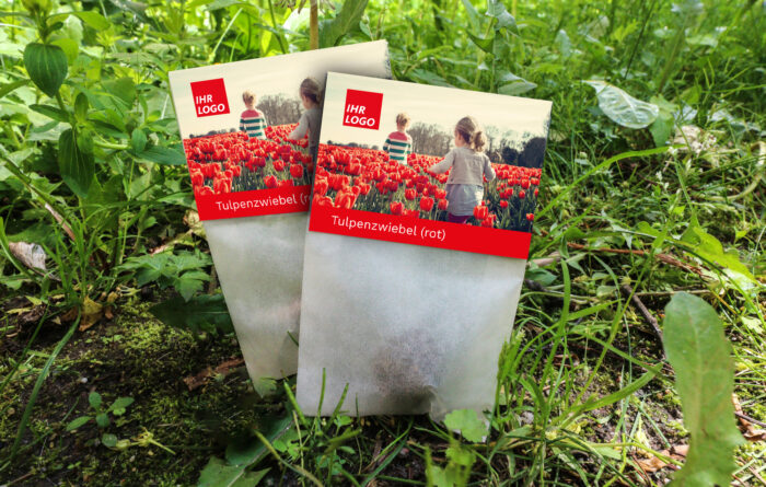 HERBST: Tulpenzwiebel, rot