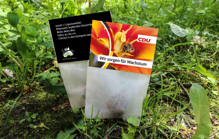 HERBST: Tulpenzwiebel CDU